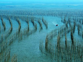 非公司企业法人主管部门(出资人)变动备案提交材料清单