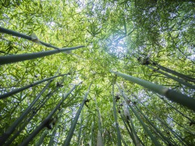 法律桥PE宝典:私募基金法规及监管文件汇编(2024龙年新春版)